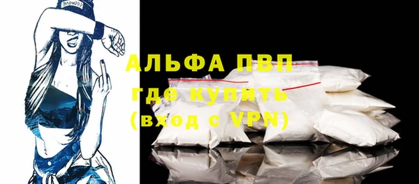 эйфоретик Новокубанск