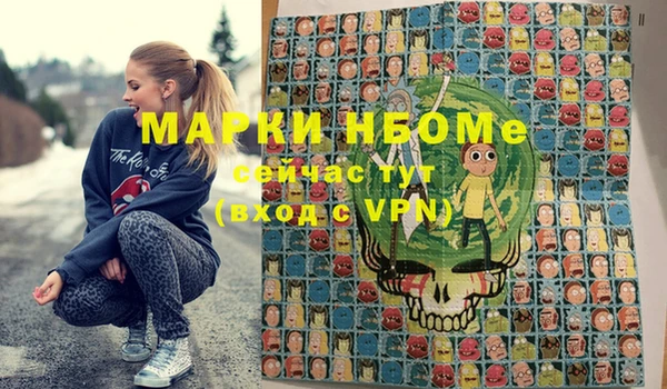 шишки Новозыбков