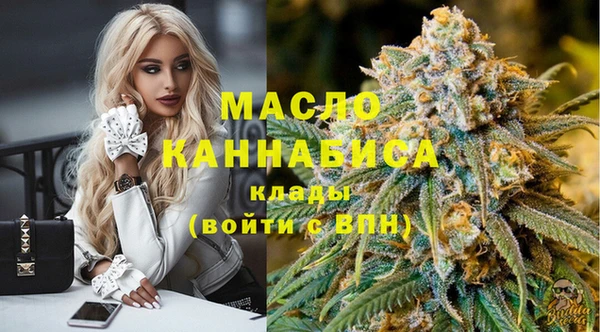 шишки Новозыбков